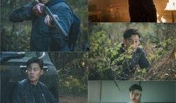 圈套 李瑞镇在线观看,揭秘悬疑剧情，探寻真相之谜